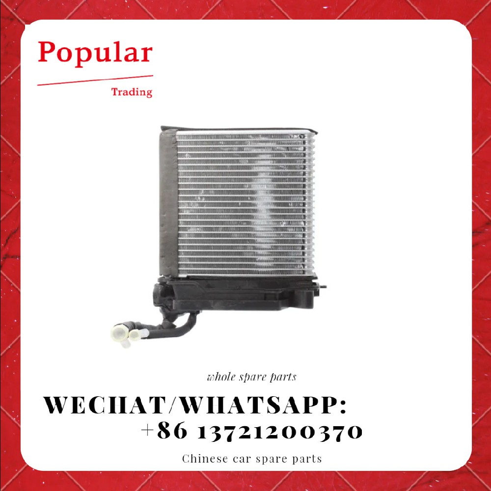 LIFAN AUTO PARTS EVAPORATOR CORE ASSY S8107100