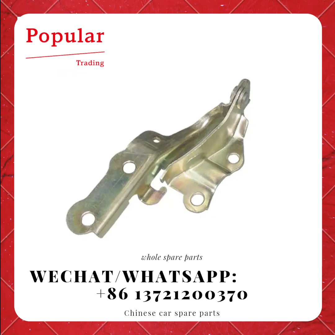CHERY AUTO PARTS LEFT GATE T11-8402030-DY
